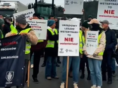 Weterynarze protestują w Kutnie. Domagają się zaległych wypłat i rozmów z ministerstwem