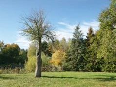Zabytkowy park w Wiśniowej zmienia się nie do poznania. Tak postępują prace przy Pałacu Kołłątajów