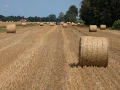 Ile kosztuje słoma w październiku? Cena beli to nie wszystko