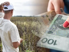 Rolnicy się doczekali, rząd zdecydował o pieniądzach. Nawet 3 tys. zł na hektar