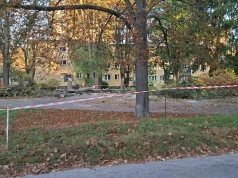 Planowany parking podzielił mieszkańców. Jedni bronią drzew, inni chcą ich wycinki