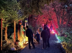 Dynie rozświetliły Ogród Botaniczny we Wrocławiu