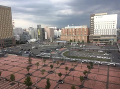 Metropolia podobne jak bydgoska w USA i Japonii