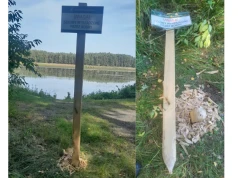 Bobry przechytrzyły leśników. Ścięły słupek ostrzegający przed… bobrami