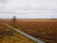 Poleski Park Narodowy – najpiękniej jesienią!
