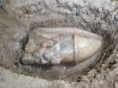 Kolosalny posąg Ramzesa II znaleziony na polu