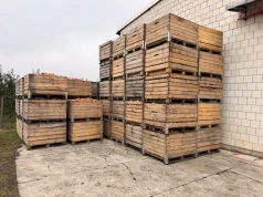 Ceny jabłek przemysłowych w górę. Sadownicy wstrzymują sprzedaż i czekają na lepsze stawki