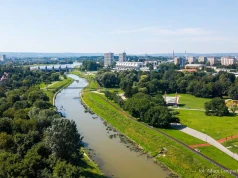 Kwitnące łąki zamiast regularnych rabat! Blisko 30 tys. nowych roślin na rzeszowskich Bulwarach