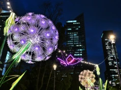 Warszawa rozbłysła tysiącem świateł. Nowa atrakcja w centrum stolicy