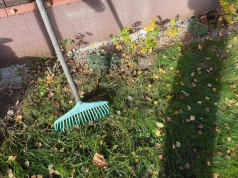 Masz pełno liści w ogrodzie? Zrób z nimi to, zamiast wyrzucać je do worków