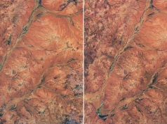NASA uwieczniła przemianę australijskiej pustyni. Z kosmosu widać morze kwiatów