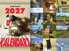 KONKURS: Zwierzaki z naszego kalendarza szukają geodezyjnych imion