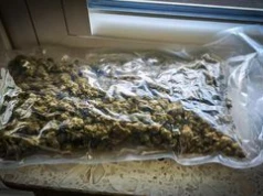 Pół kilograma narkotyków. Policja z Piły zatrzymała 3 osoby