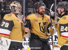 6:2 i hat-trick w NHL. Oto najlepszy zespół trwającego sezonu