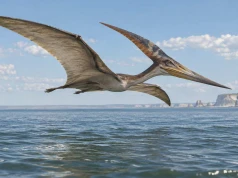 Pteranodon od A do Z. Latający olbrzym, który nie miał ani jednego zęba