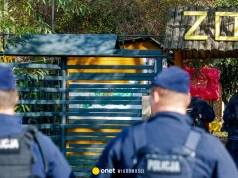 Horror zwierząt w zoo. Ministerstwo dementuje medialne doniesienia