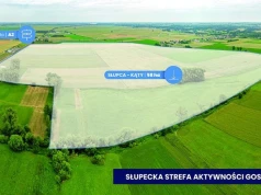 „Utworzyliście strefę, ale co tam się dzieje?”