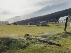 Pracownicy zoo w Łącznej wracają do pracy. Ogród pozostaje zamknięty
