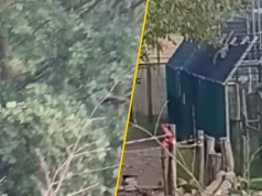 Burza wokół zoo w Łącznej. Pojawiło się nagranie z lemurem