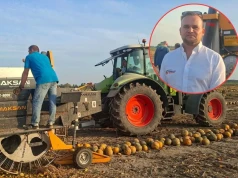 Z pestek dyni zrobił duży interes. Sam uprawia niewiele, a przerabia 5 tys. ton rocznie