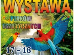 Wystawa ptaków egzotycznych – zapowiedź