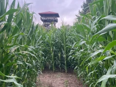 Noc strachów w labiryncie w Fojutowie. Będą przebrani aktorzy