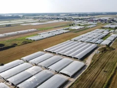 Prawie 130 tys. zł za ha? Ziemia rolna tryma cenę