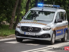 Nielegalna toaleta, podrzucony gruz i zakrwawiony bezdomny. Interwencje straży miejskiej
