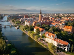 Szedł z wykrywaczem przez las pod Elblągiem. Trafił na skarb z Kalifatu Bagdadzkiego