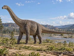 Brontozaur od A do Z. Dinozaur, któremu po stu latach przywrócono nazwę