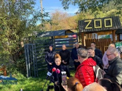 ZOO Łączna. Dwa ptaki padły, kucyk w bardzo złym stanie. Nowe informacje o sytuacji