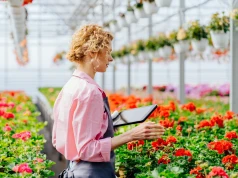 Godziny pracy w Holandii i związane z nimi przepisy
