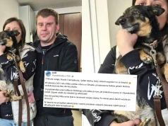 Sieradz: po 5 latach rozłąki psinka wróciła do właścicieli