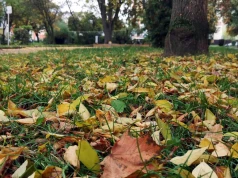 Dla jednych niebezpieczne, dla innych pożyteczne. Spór o liście w Koninie