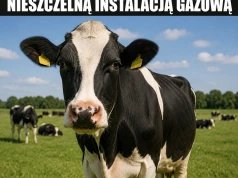 Gazownia na racicach