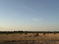 Dopłaty 2026: 11 mld zł trafiło do rolników.