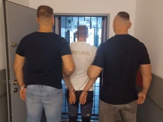 Pijany kierowca uciekał policji na S17. Miał 1,7 promila i wjechał w zarośla