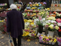 Nie tylko chryzantemy. Te kwiaty są trwałe i pięknie ozdobią grób na Wszystkich Świętych