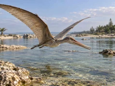 Pterodaktyl od A do Z. Niewielki latający gad, którego często mylimy z olbrzymem