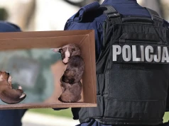 Drzewica: ktoś podrzucił policji worek ze szczeniakami, teraz odpowie za znęcanie