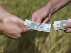 Agroturystyka prowadzona przez rolniczkę – jakie podatki obowiązują?
