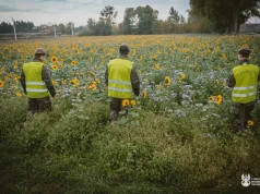 Podejrzenie naruszenia polskiej przestrzeni powietrznej. Służby przeszukują teren
