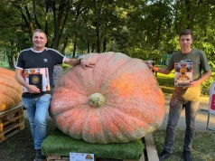Ma 16 lat i wyhodował dynię cięższą niż samochód. Pobił rekord Polski, a chce jeszcze więcej