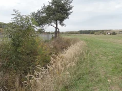 Biała Przemsza w Chrząstowicach