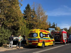 Zdarzenie drogowe na ul. Krakowskiej w Bielsku-Białej. Ruch wahadłowy i dziecko w szpitalu