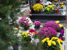 Zmarli we Wrocławiu - pogrzeby zaplanowane na 19.10.2026 – nekrologi
