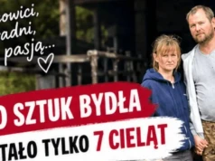110 sztuk bydła padło w 3 dni. Z całego stada rolnikowi zostało tylko 7 cieląt