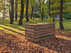 Drewniane konstrukcje w krakowskich parkach. To tutaj liście dostają drugie życie