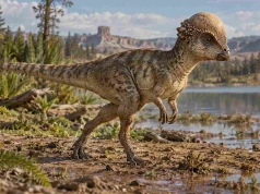 Zavacephale od A do Z. Niewielki dinozaur z głową jak hełm
