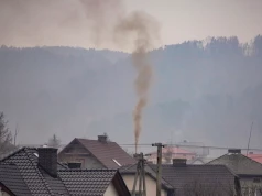 Palisz drewnem w kominku? Ekspert wyjaśnia, czy szkodzisz środowisku